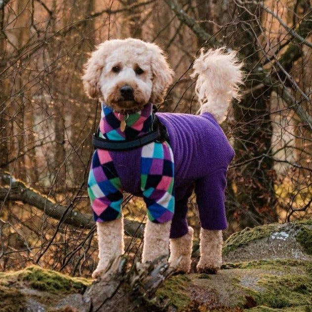 Waterproof Dog Fleece: Harlequin and Purple