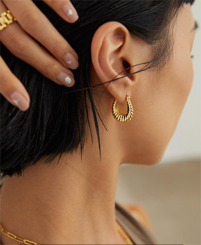 Twisted Stripe Stud Earrings