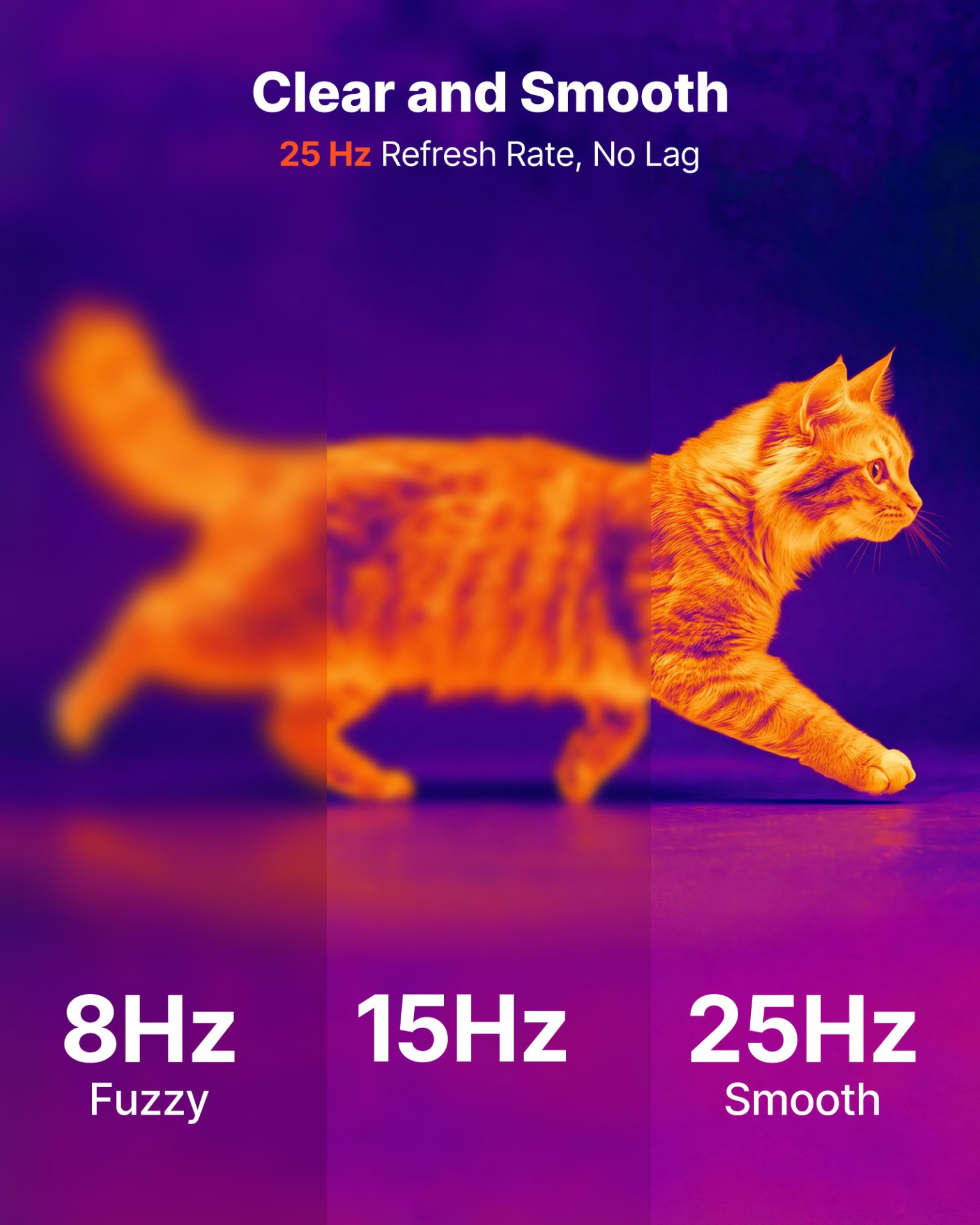 82121772