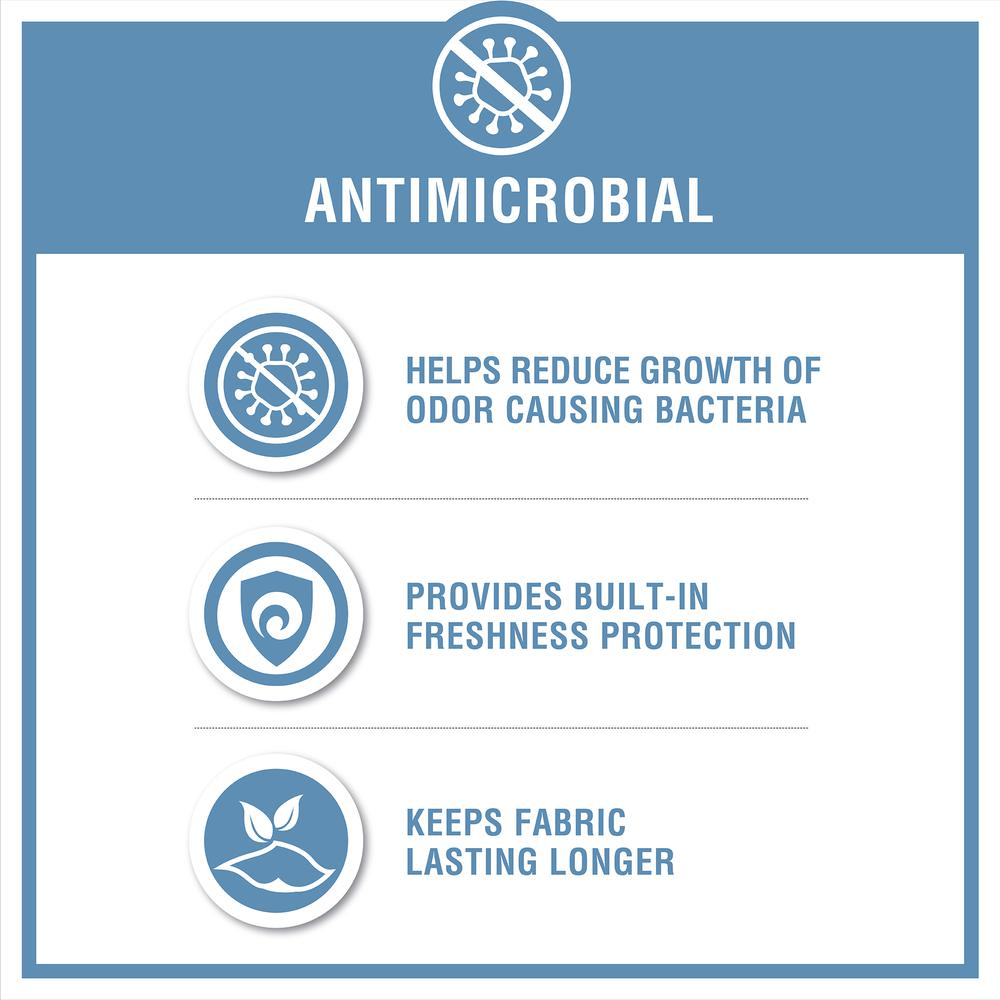 82106203