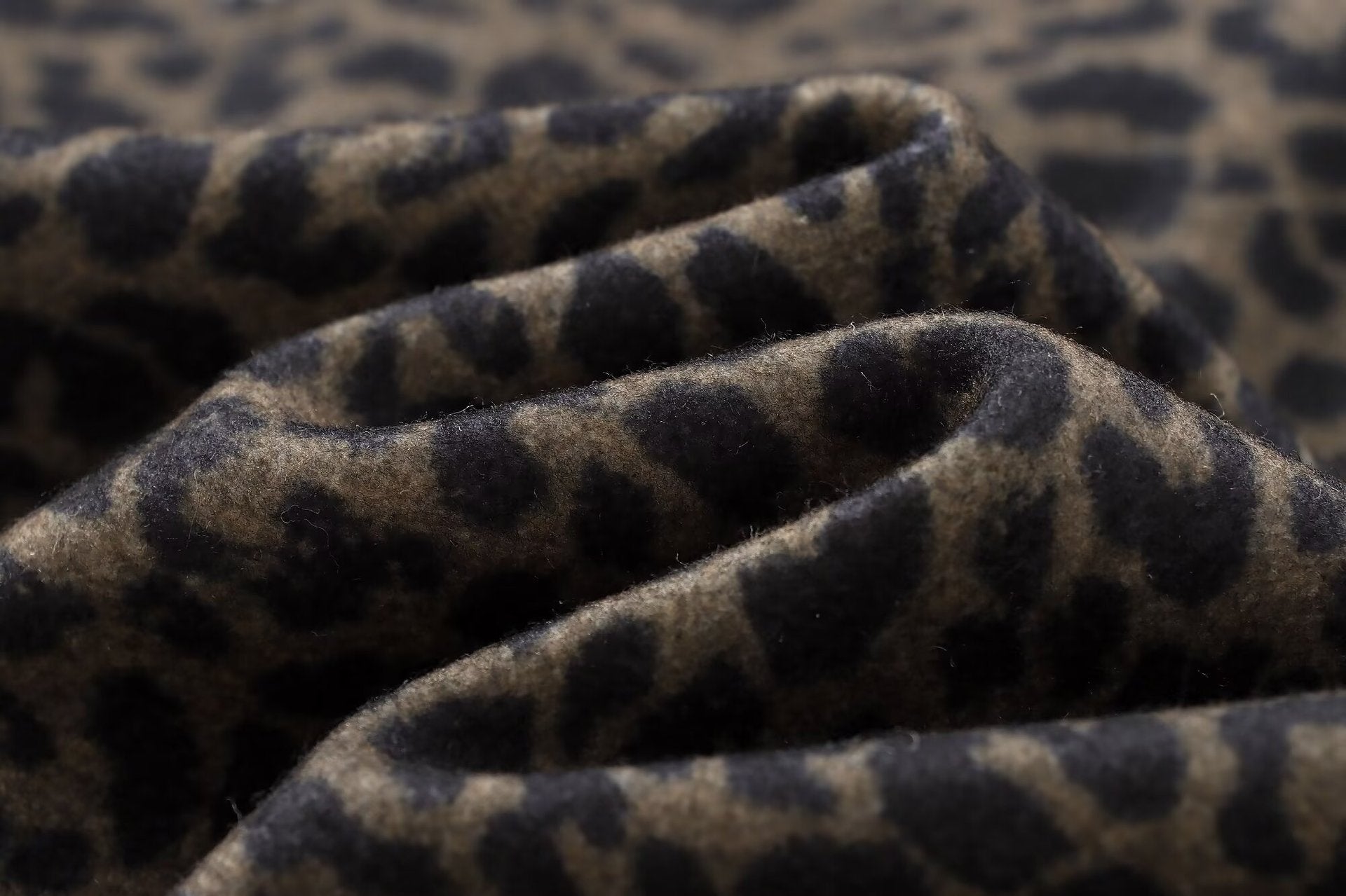 Leopard Statement Coat – Haute Edition 25