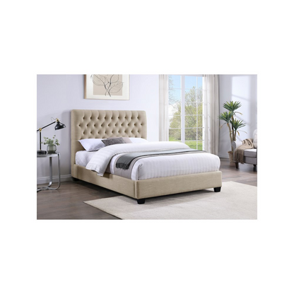 82100504