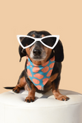 Dog Sunnies