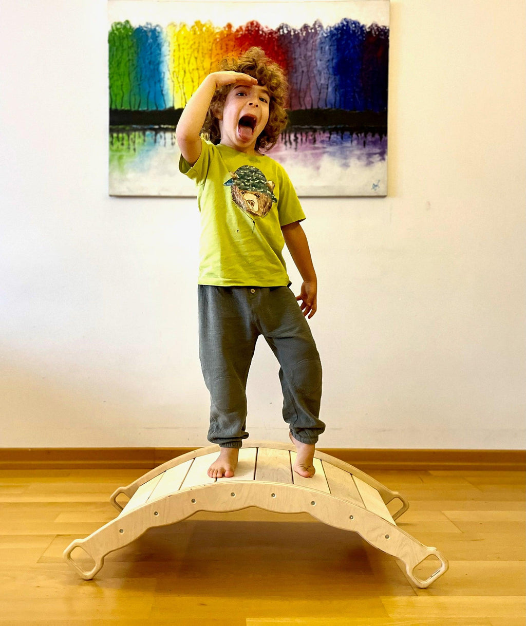 XL Wooden Balance Board with Pillow