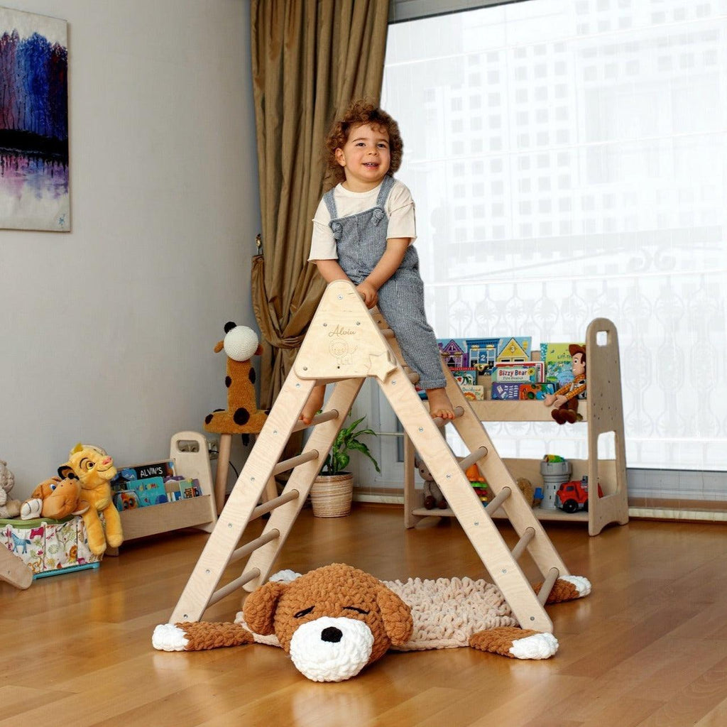 Montessori Triangle Climber Set / 3 size