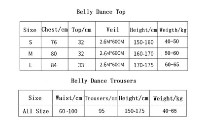 Red Elsa Princess costume for pets, belly dance style, with intricate details, perfect for parties and cosplay by White Eucalyptus.
