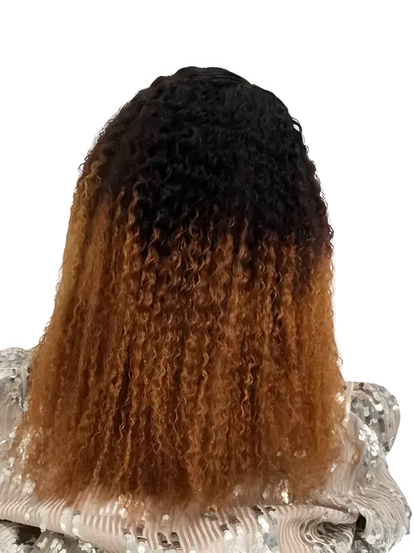 Ombre Afro Wig  | Bold & Beautiful Human Hair Curls
