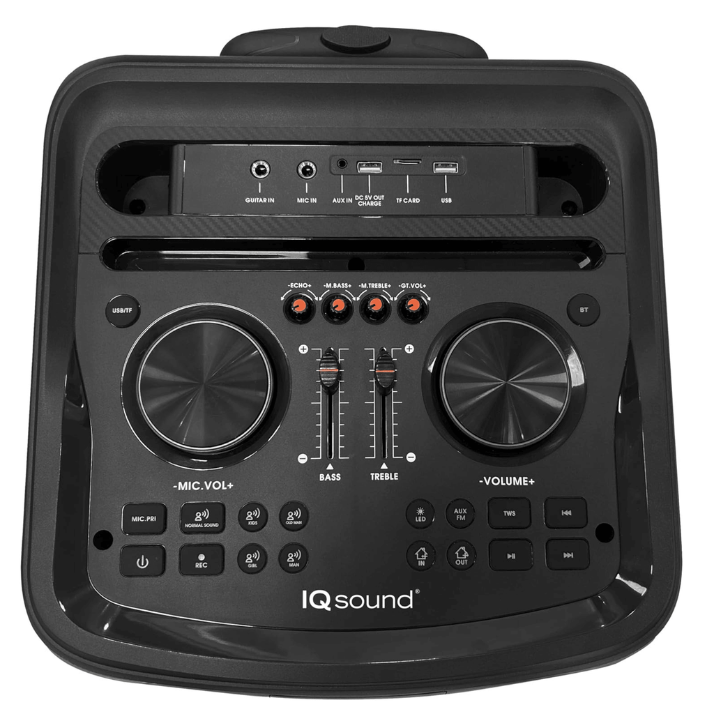 IQ Sound CYBER FLEX12 12-Inch Portable Bluetooth Party Speaker