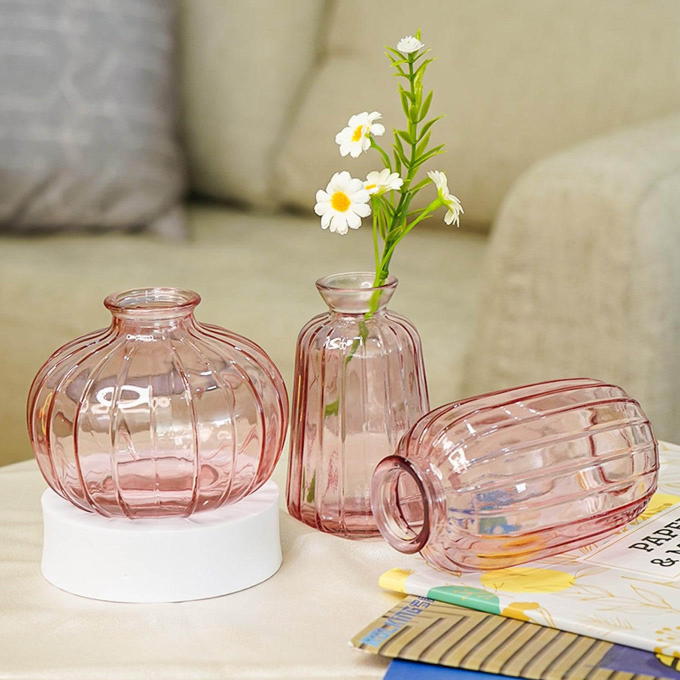 Modern Flower Vase for Living Room