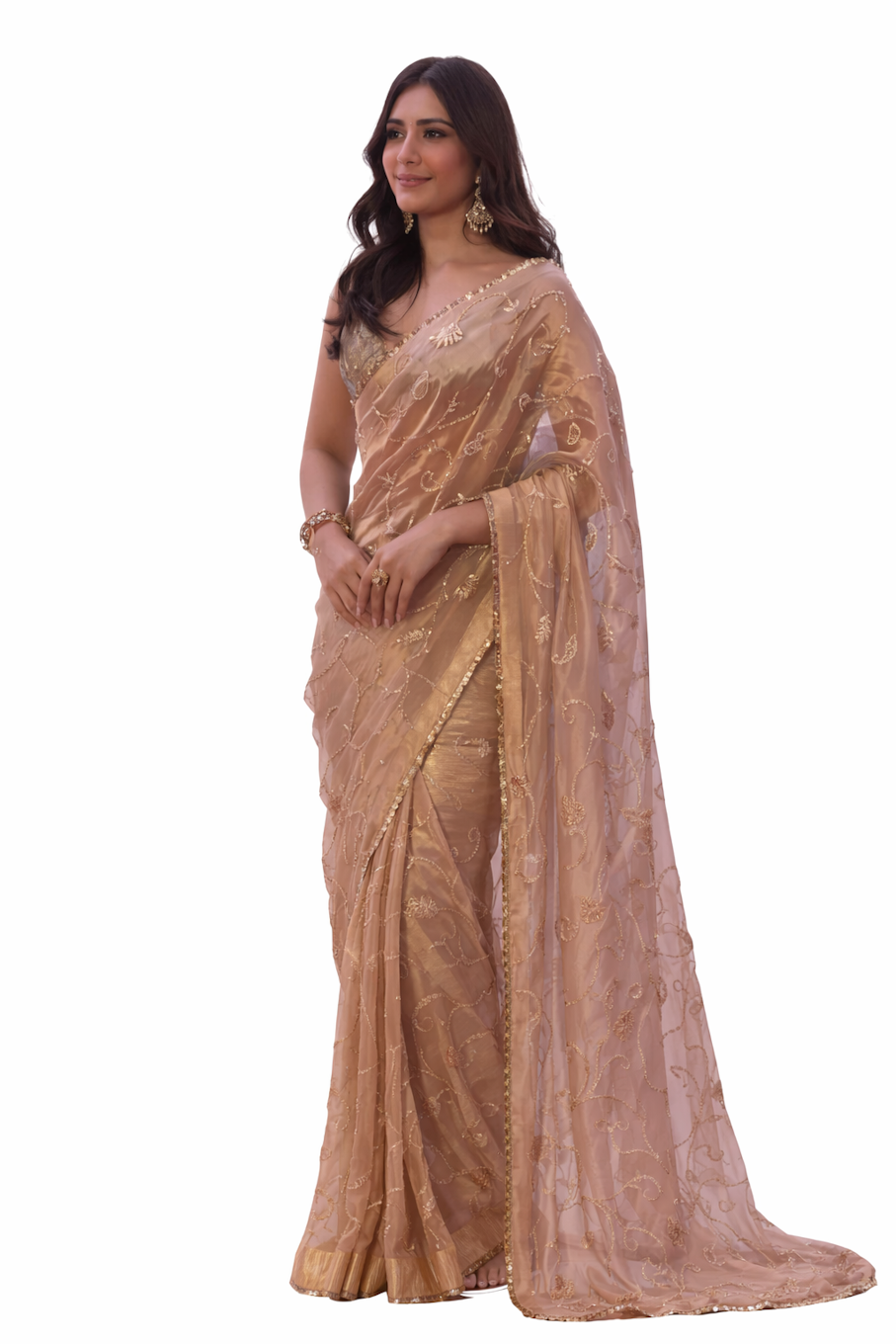Beautiful Embroidered Saree for Women