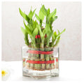 Decorative Vase Set for Home Decor
