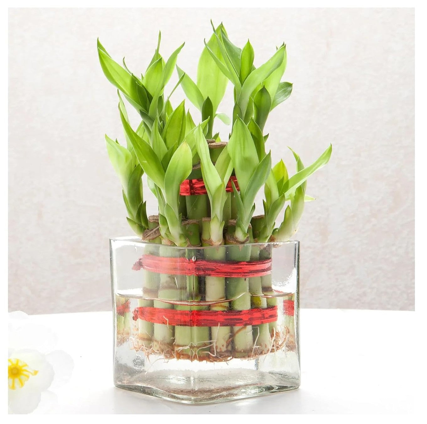 Decorative Vase Set for Home Decor