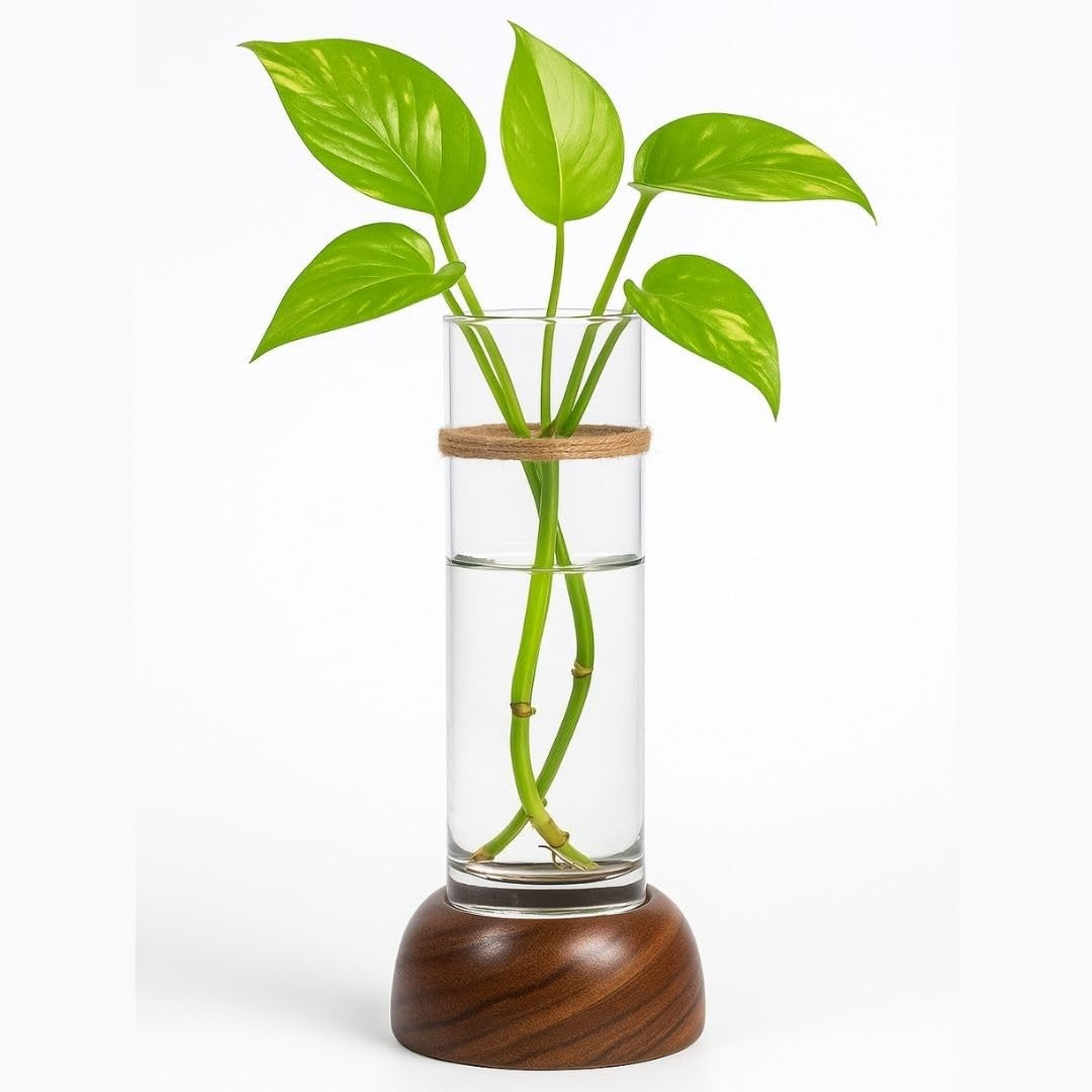 Minimalist Vase for Modern Home Decor