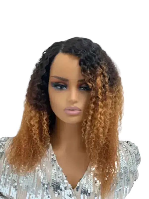 Ombre Afro Wig  | Bold & Beautiful Human Hair Curls