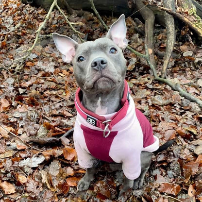 Waterproof Dog Fleece: Pink and Wine