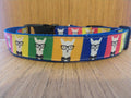 Leash/ Large/  Hipster Llamas